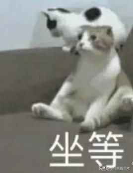 撞脸刘亦菲女星,模特撞脸刘亦菲