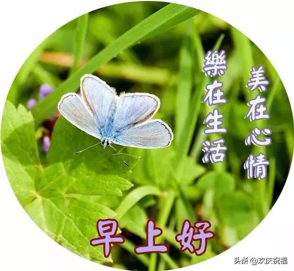 最新早上好问候祝福语带字的图片,周三早上好问候祝福语最新版