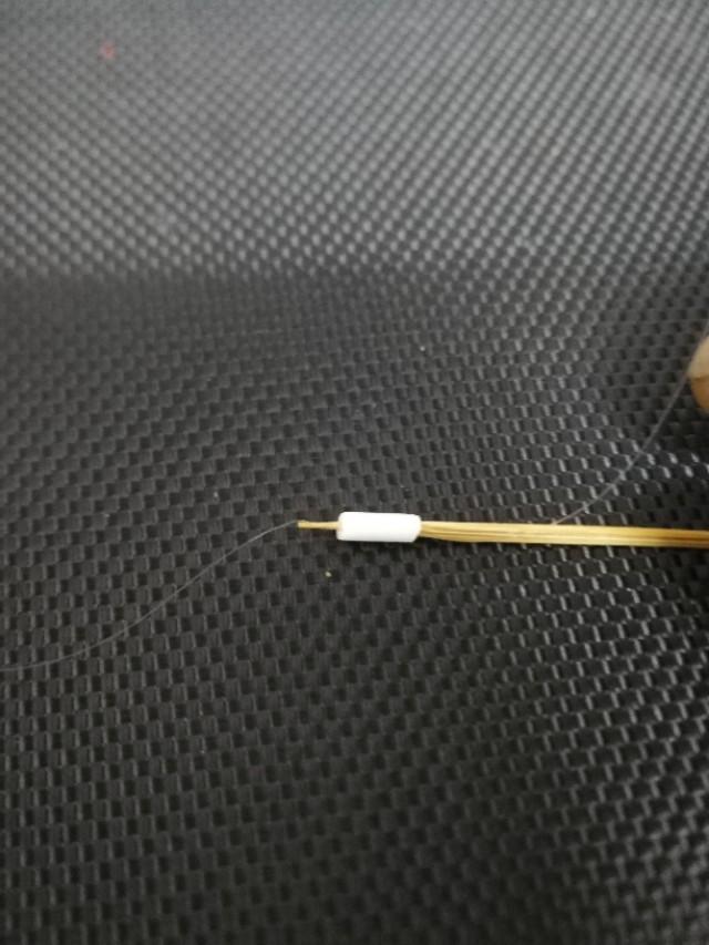 钓鱼专钓小鱼,世界钓鱼之旅钓大鱼