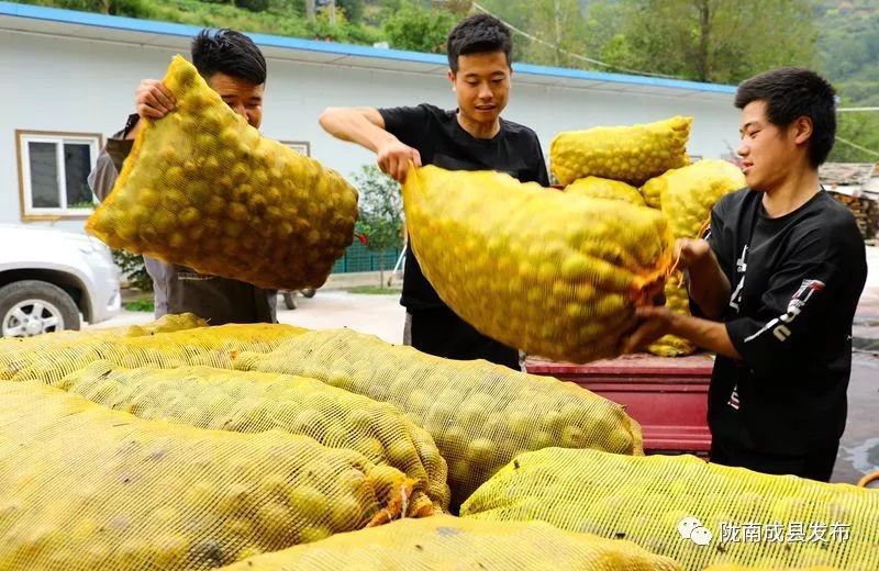 我叫成县，这是我2019年的自拍照~