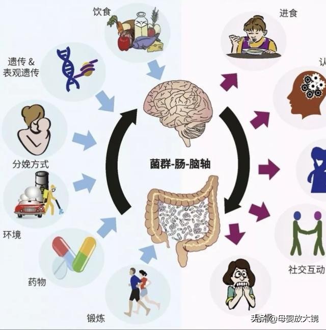 怎么帮助自闭症的人,了解自闭症知识助力星星的孩子