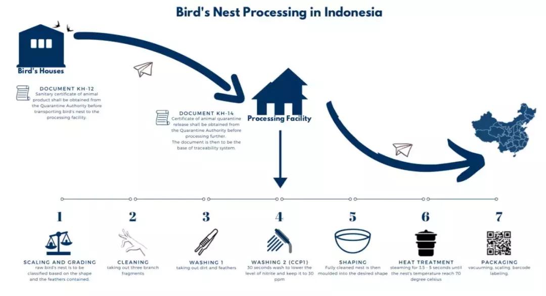 最全的燕窝知识科普,燕窝科普篇