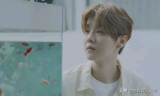 时光音乐会邓紫棋谈鹿晗出演mv,邓紫棋和鹿晗一起参加的综艺节目