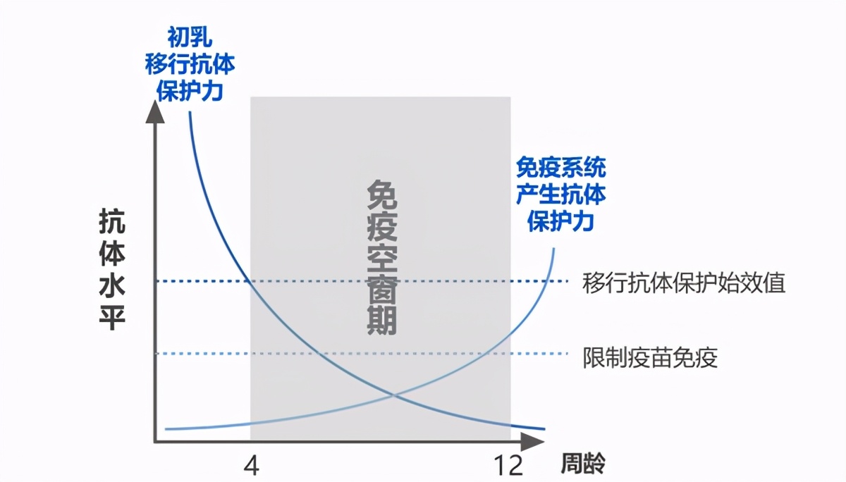 营养膏麦德氏,麦德氏医护营养膏