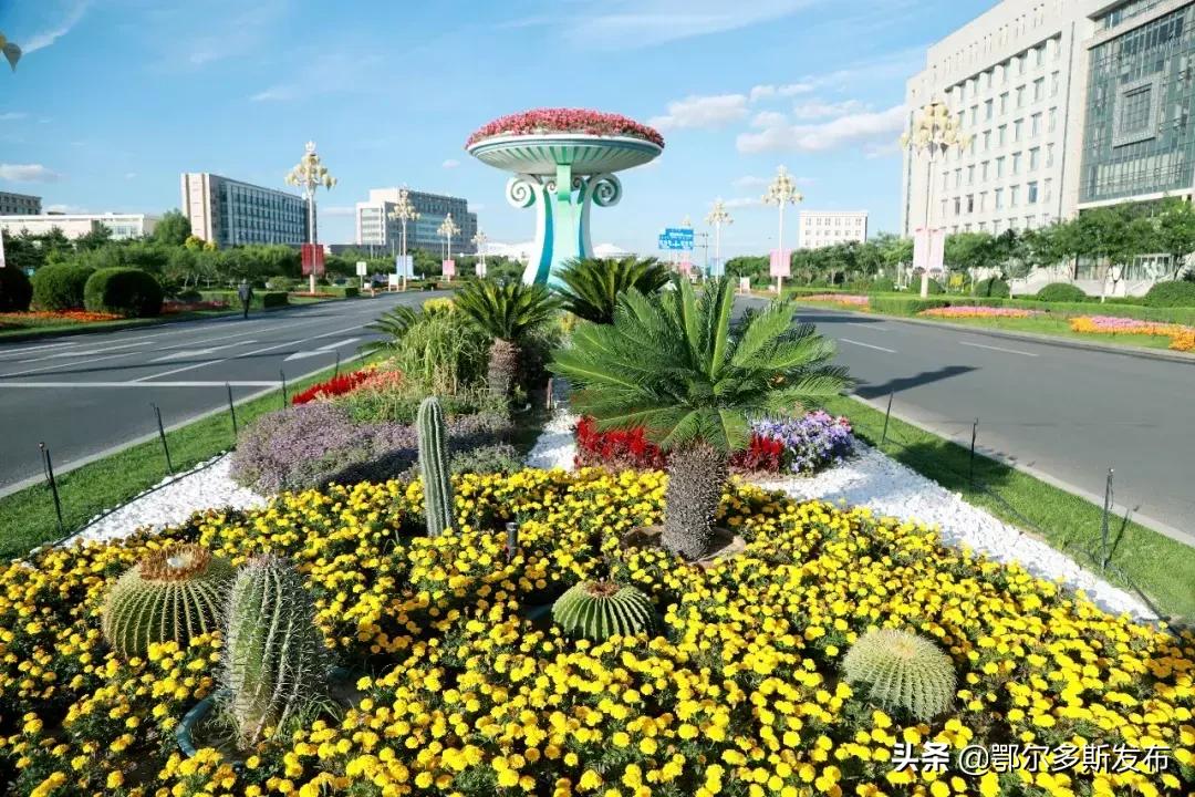 康巴什的十二个时辰,最美的竟是子时,你同意吗?