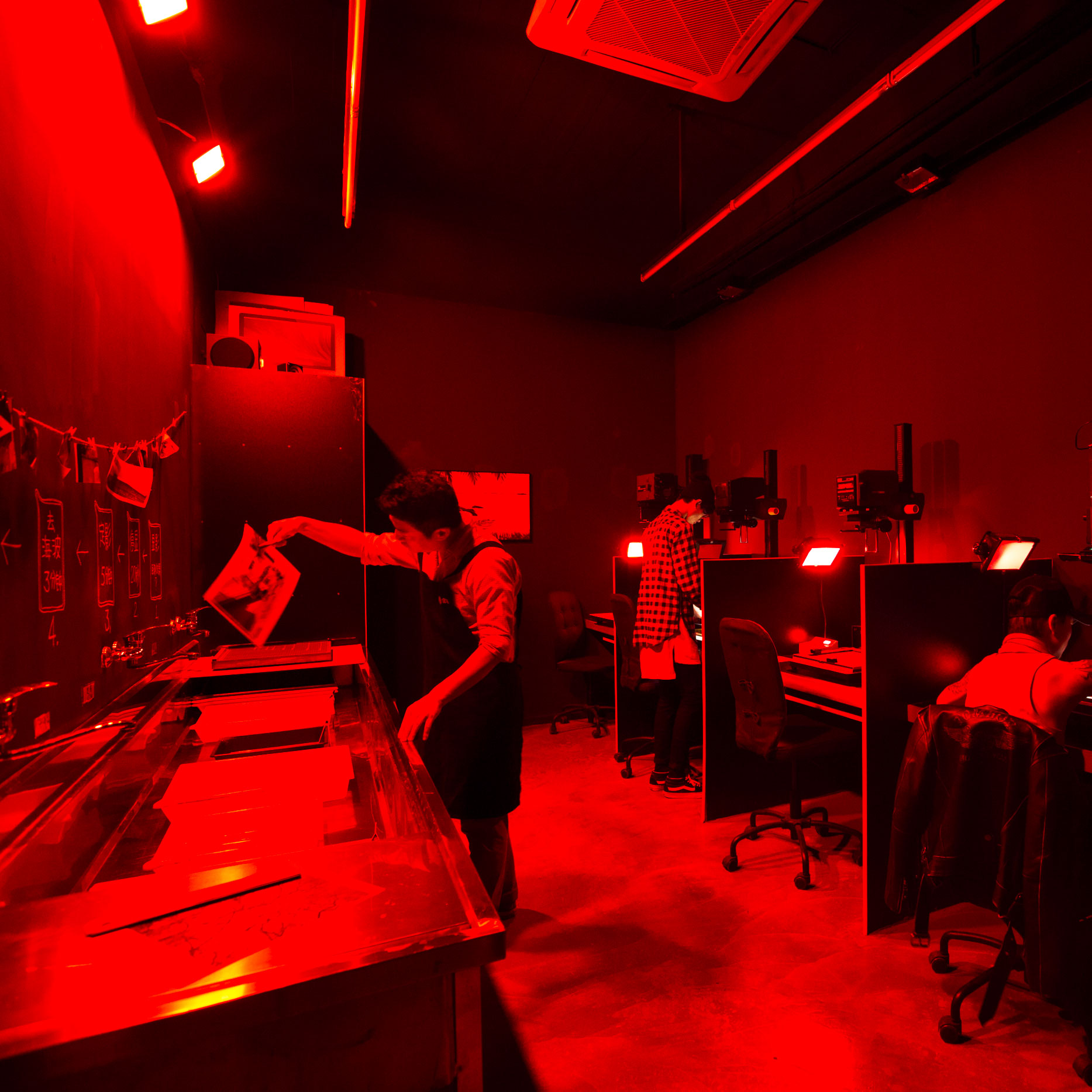 翼龙被拍到的真实视频,美国人抓了一只翼龙