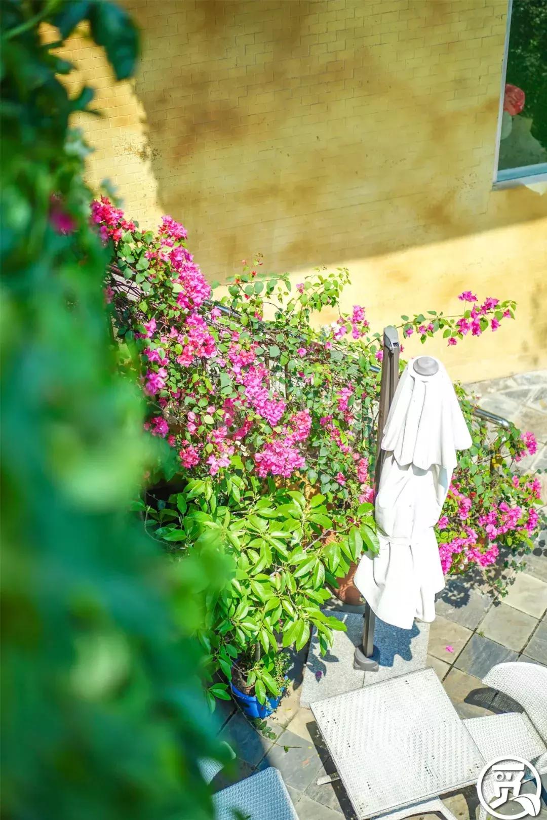 深圳「废弃染布厂」变废为宝，化身“湖畔花园”美若世外桃源！