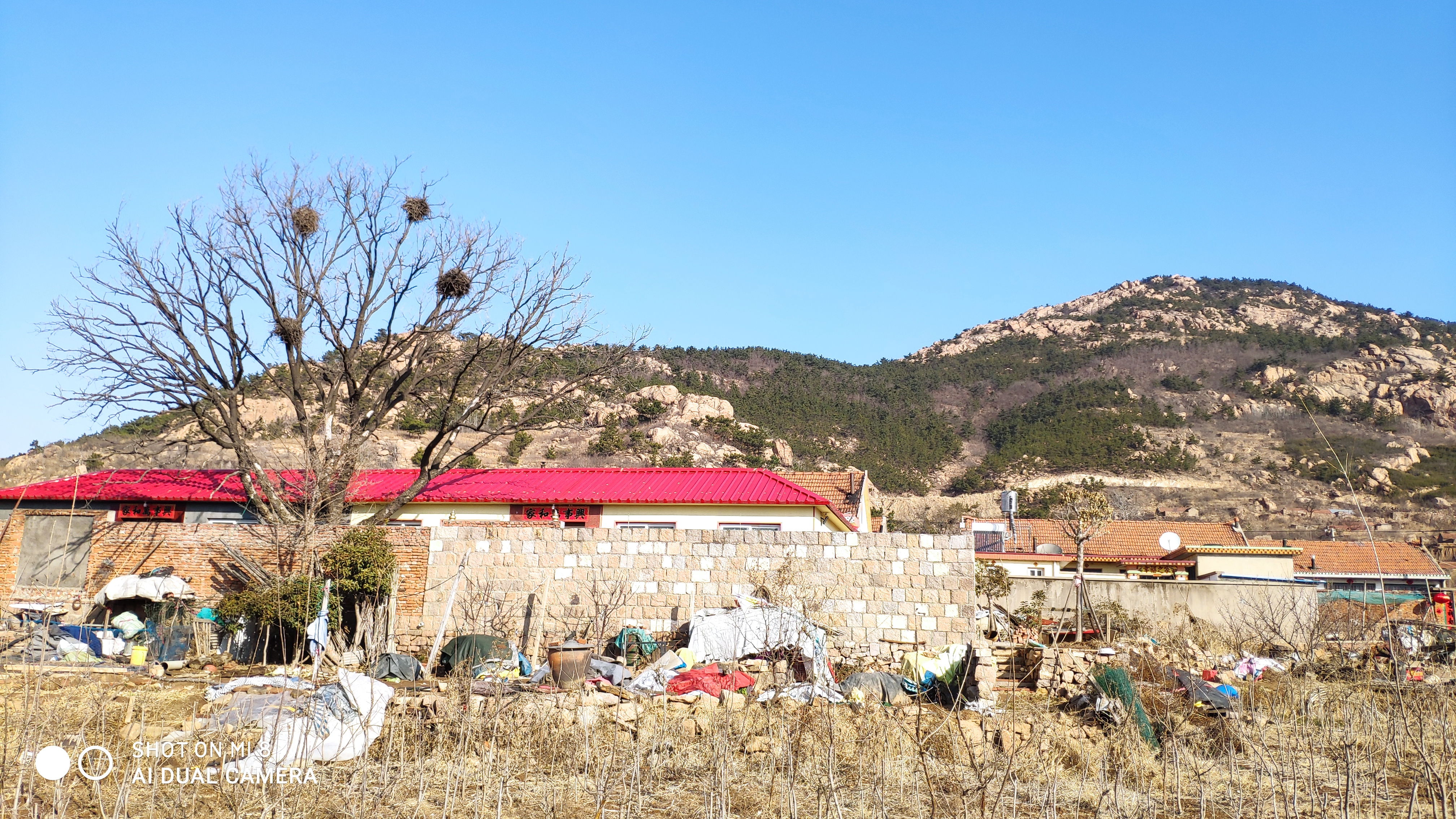 崂山水畔菜蔬鲜，黄石洞中书韵长