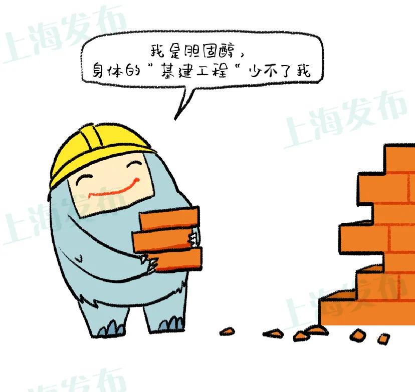 怎么看懂胆固醇体检报告,体检胆固醇高是因为高血脂么