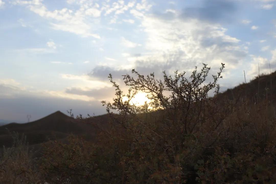 军校生亲述:我是这样成为军官的