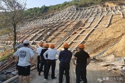 城市双修项目,城市双修建设效果图