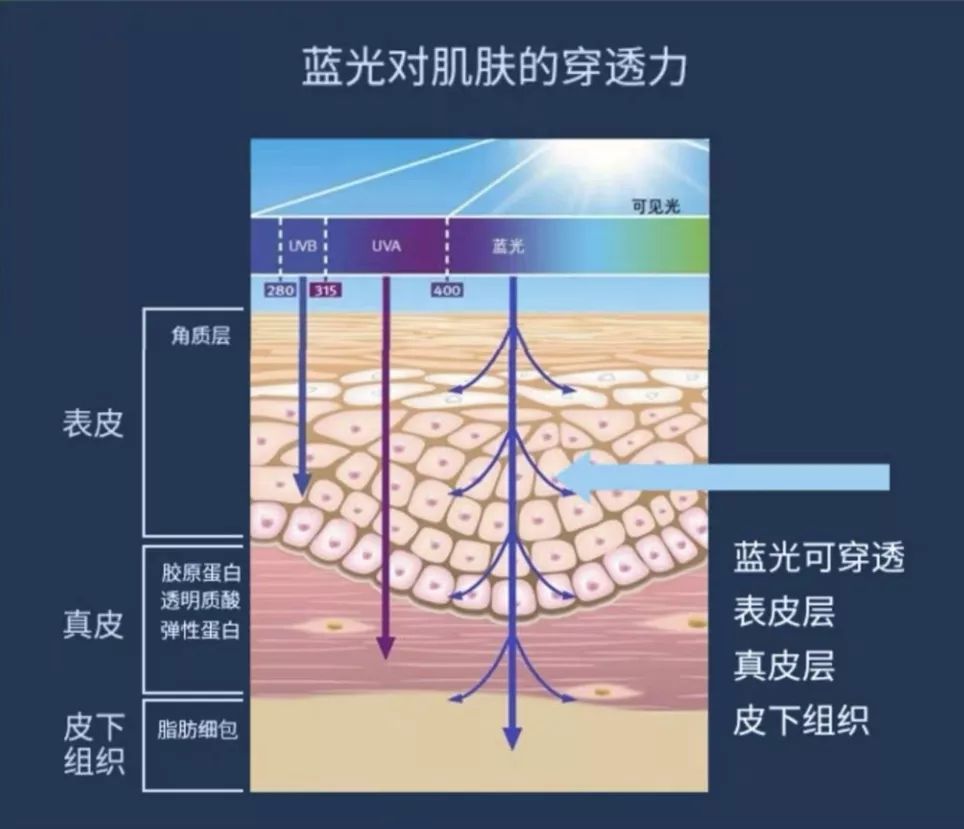 大幂幂眼妆,大幂幂眼影