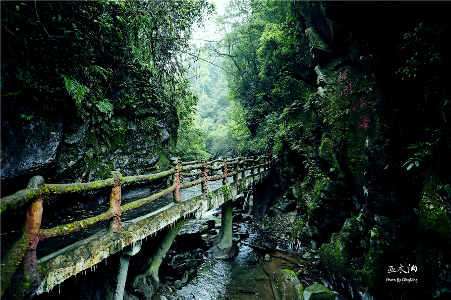神奇的梵净山真正的天空之镜,梵净山金顶旅行真实感受