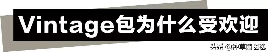 jennie杨幂包包,jennie杨幂宋茜