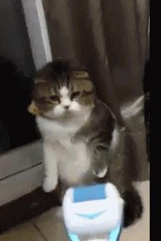 “兄弟睡觉压得胳膊都变色了，要不要叫醒他？”醒来一定很酸爽