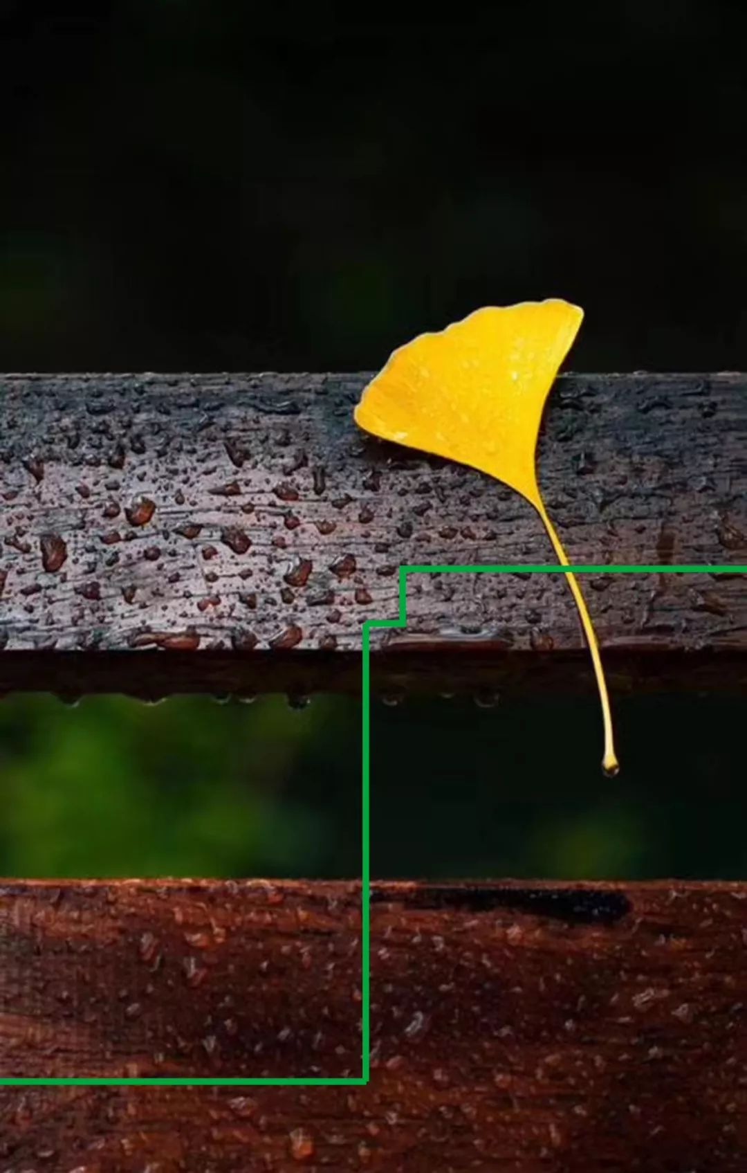 快乐和痛苦并不是反义词,痛苦的反义词是不是欢乐