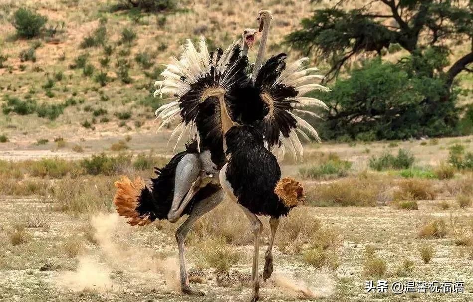 今天3月10，我的妈呀！谁编的，太好笑了，给群里乐一乐