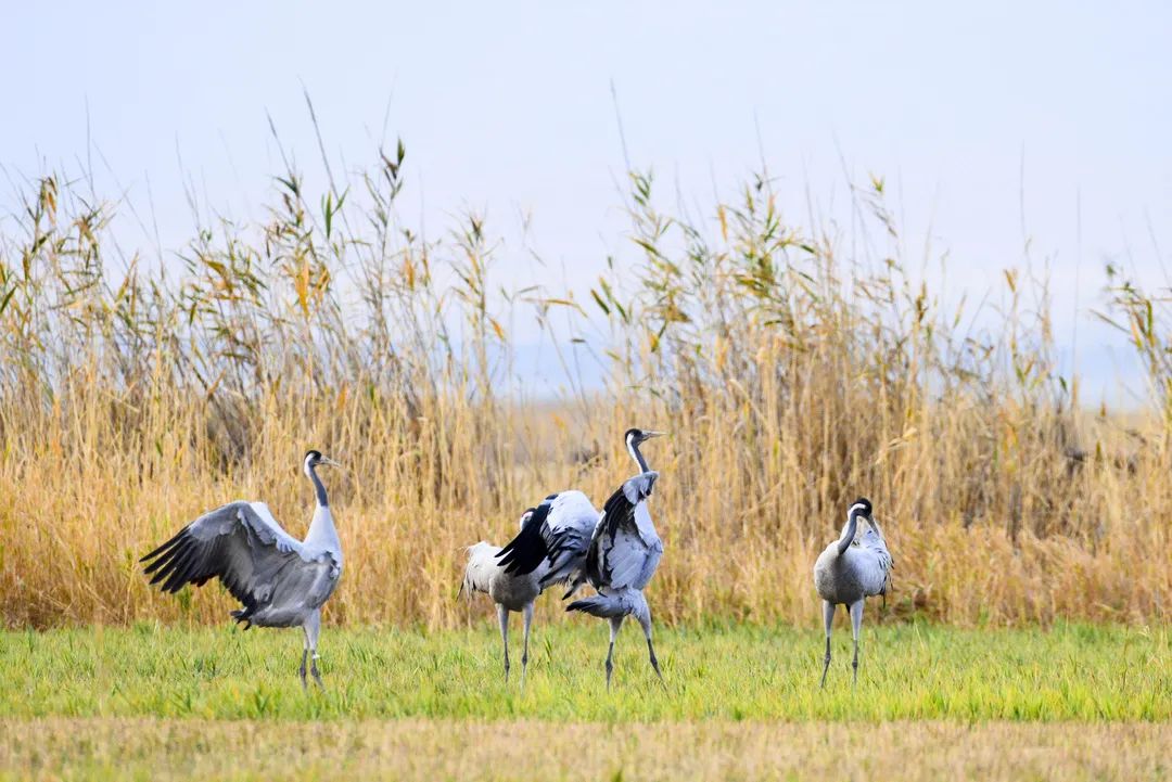 生活在乌鲁木齐的感觉,在新疆塔城的感受