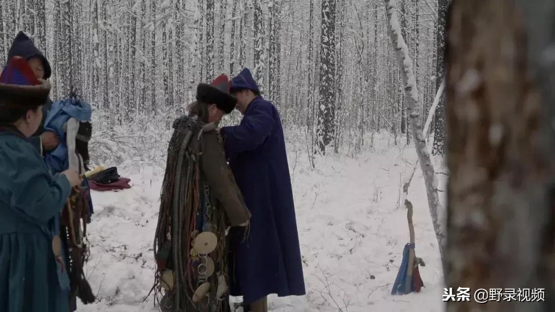 敖鲁古雅原始部落驯鹿喂草,敖鲁古雅驯鹿旅行