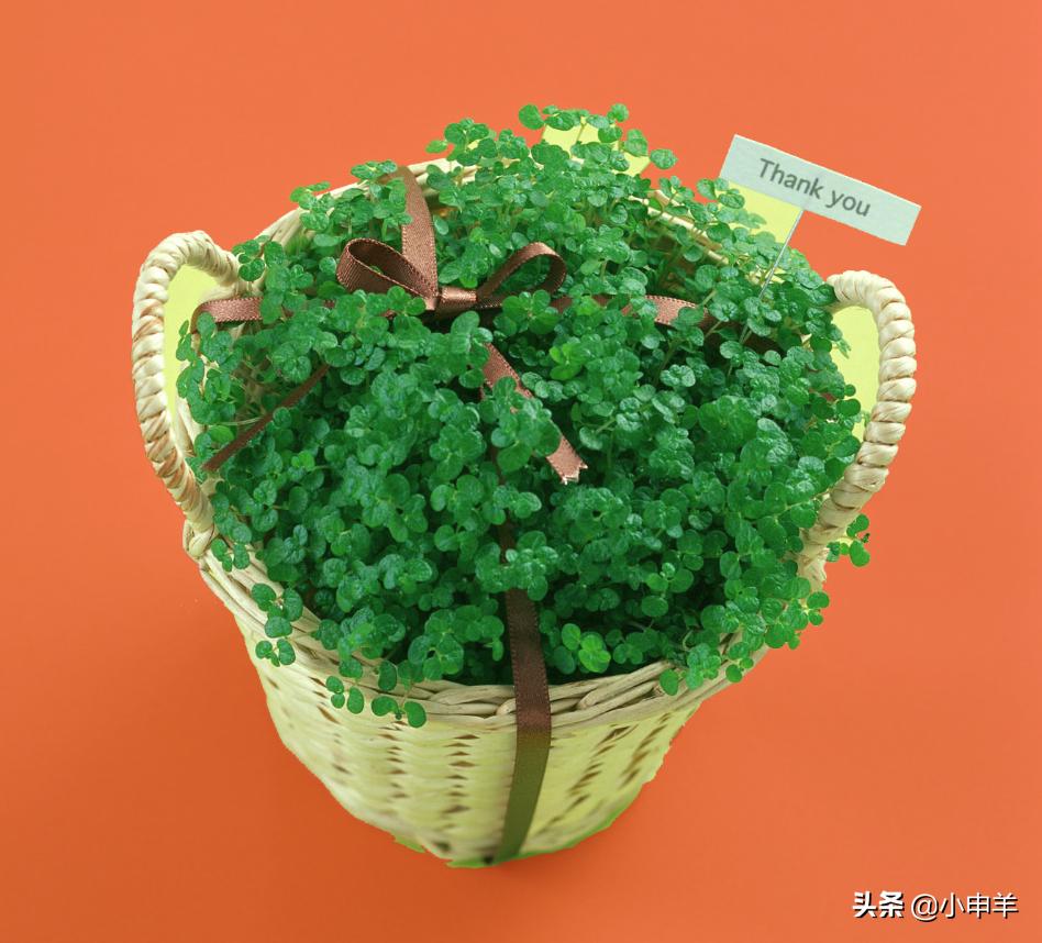 ps抠图怎么减少选区,ps里抠图用选区抠图怎么弄