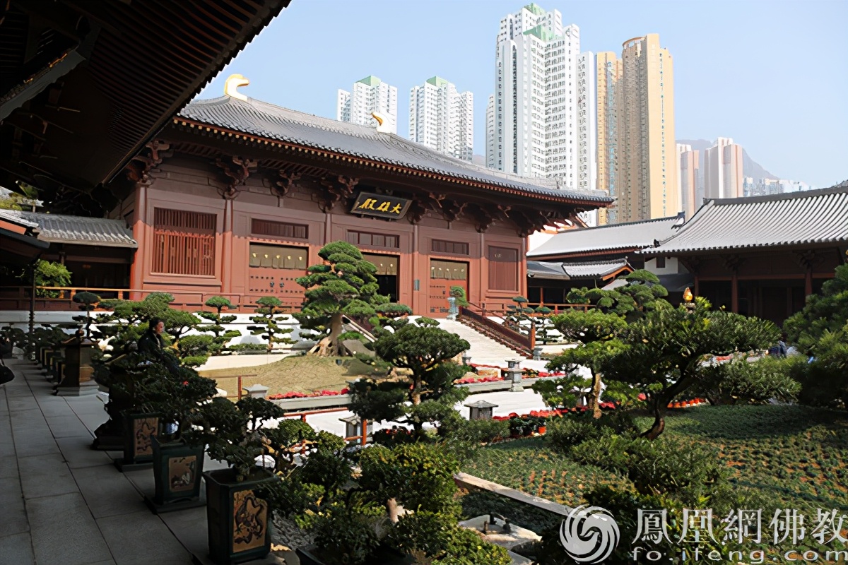 香港志莲净苑图片,香港志莲净园简介