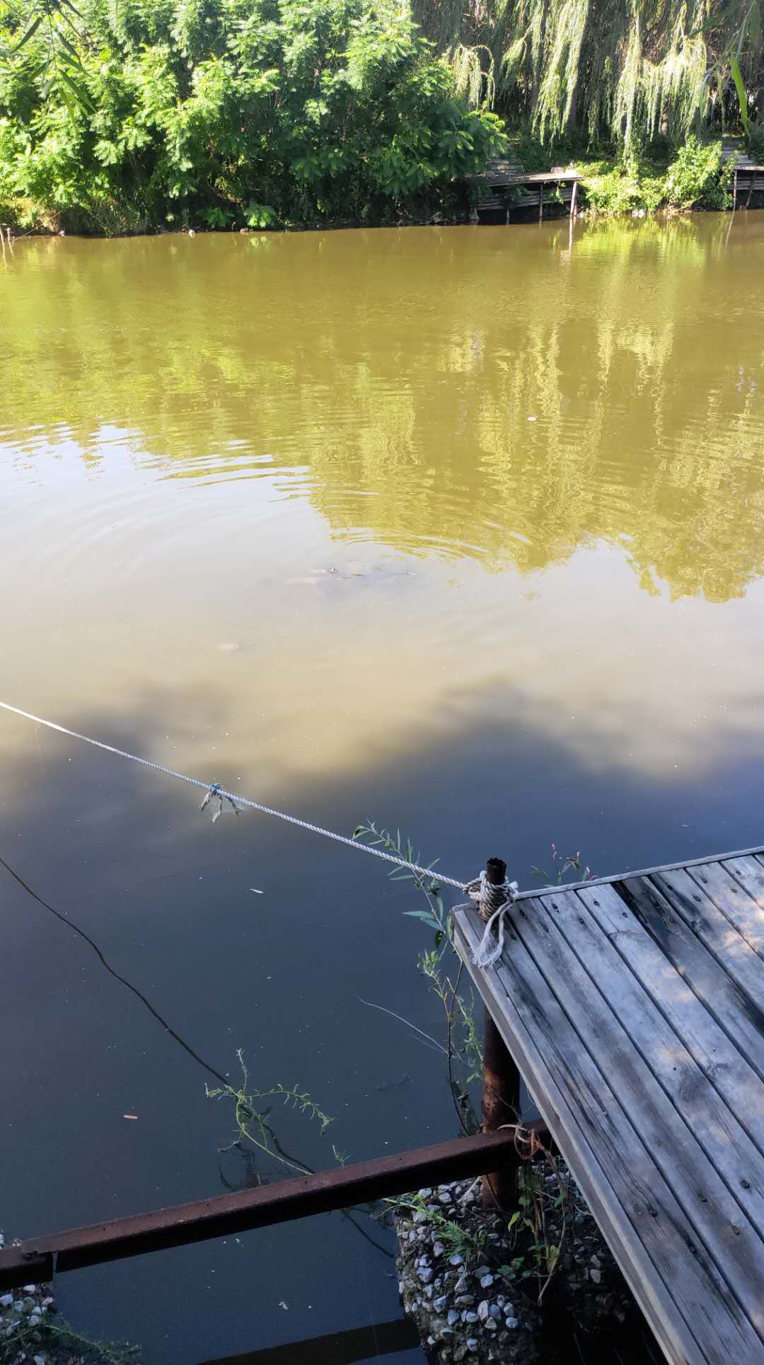 摸的竿子多了，对鱼竿有一些不成熟的个人看法