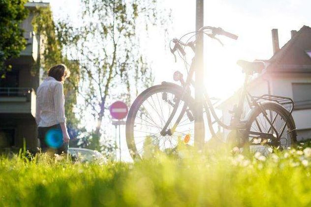 李遂生文学作品,李遂生