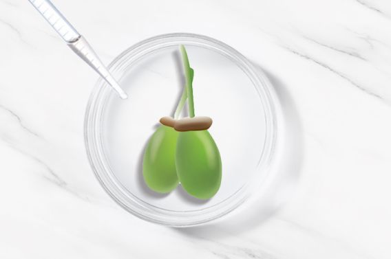 薇诺娜彩妆产品,薇诺娜新包装唇膏