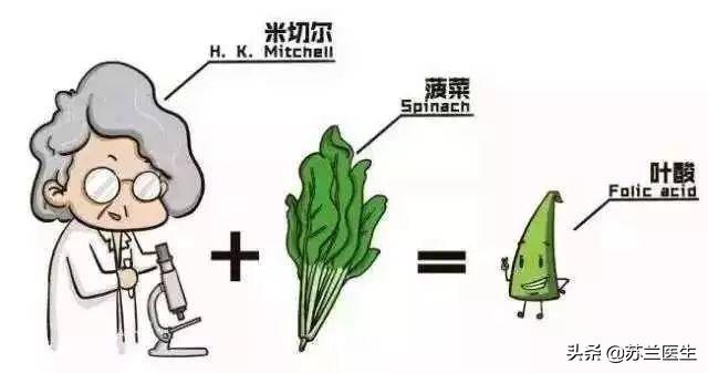 意外怀孕补充叶酸来得及吗,怀孕初期补充什么叶酸比较好