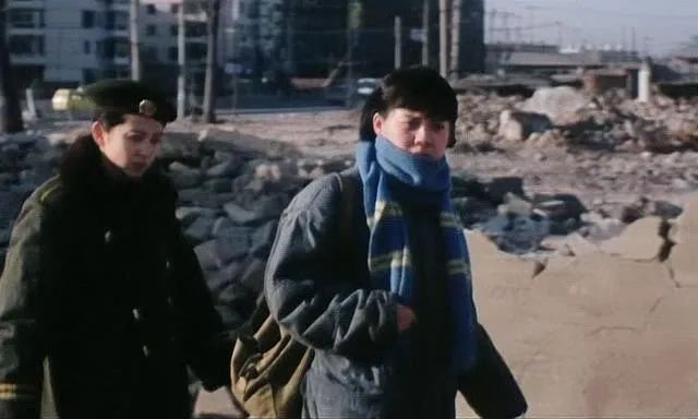 可惜没在中国上映的电影,李冰冰05年电影