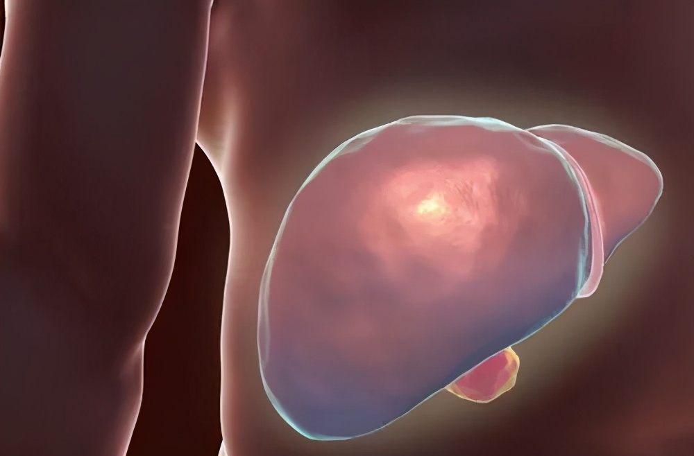 肝不好吃什么容易伤肝,肝不好别着急两招教你保护好肝脏