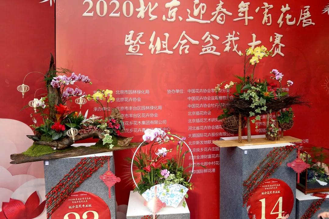 北京年宵花花卉嘉年华,北京迎春年宵花展已开幕