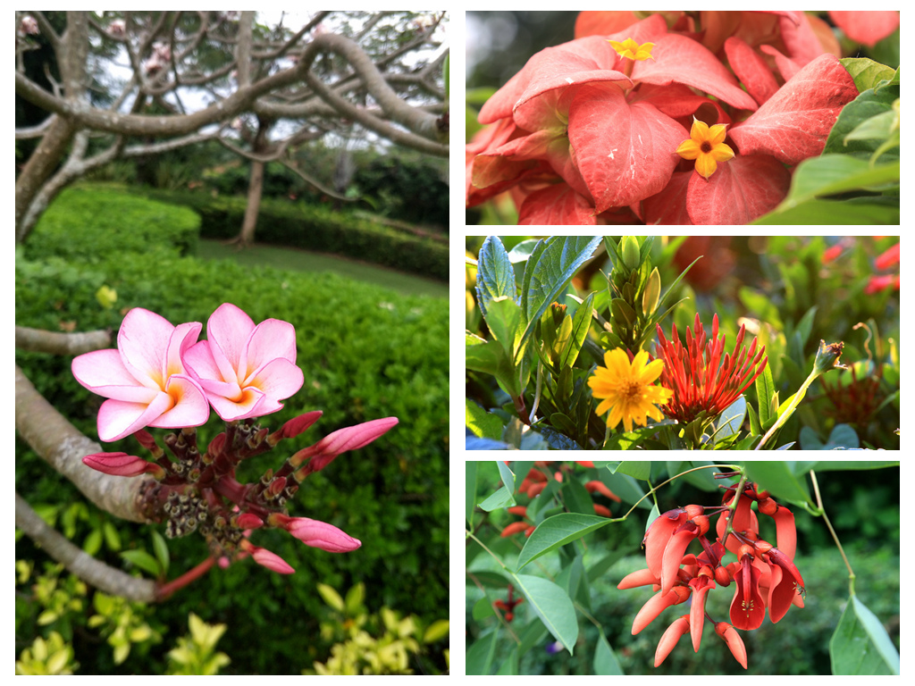 三亚风水最旺的景点在哪里,亚龙湾风水宝地