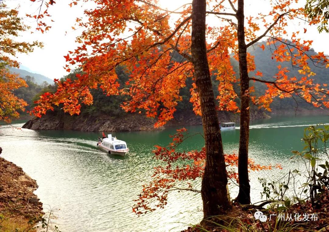 宝藏新公园周末好去处快来打卡,必打卡的宝藏公园