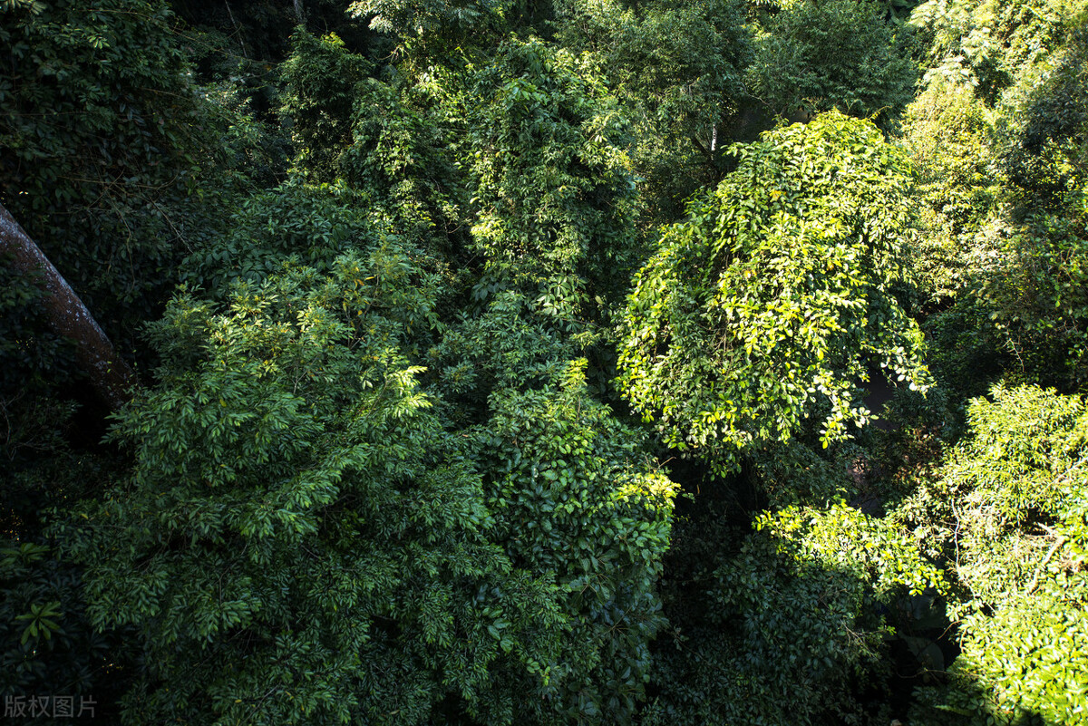 国内最经典12条自驾游线路,国内十大自驾游线路推荐