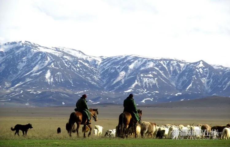矿山风云评书大全,矿山风云录第一部