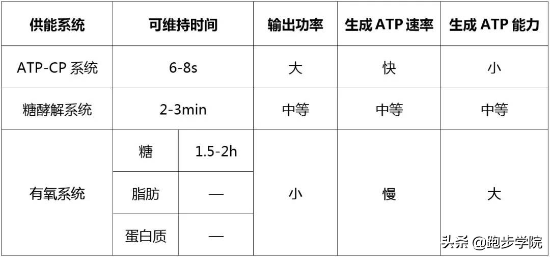 早上晨跑是空腹跑还是不空腹跑,空腹晨跑和空腹夜跑燃脂效果更好