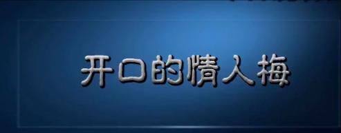 今日说法十大奇案第一集,今日说法10大奇案