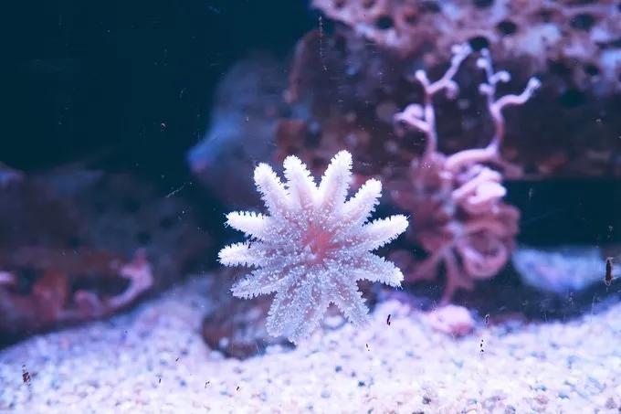 不一样的大阪三日游，瑠璃一束光，值得一来再来