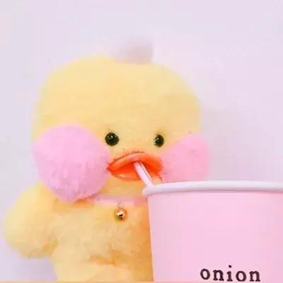 36张网红玻尿酸鸭头像图：遇见就好了，余生就算了