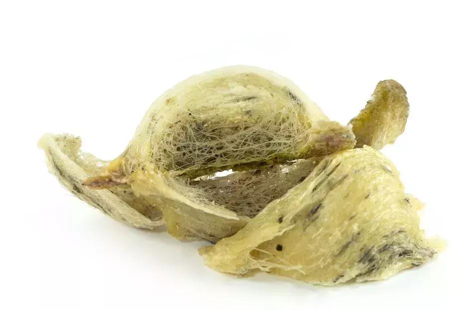 燕窝的颜色发白还是发黄,炖好的燕窝发黄还能吃吗