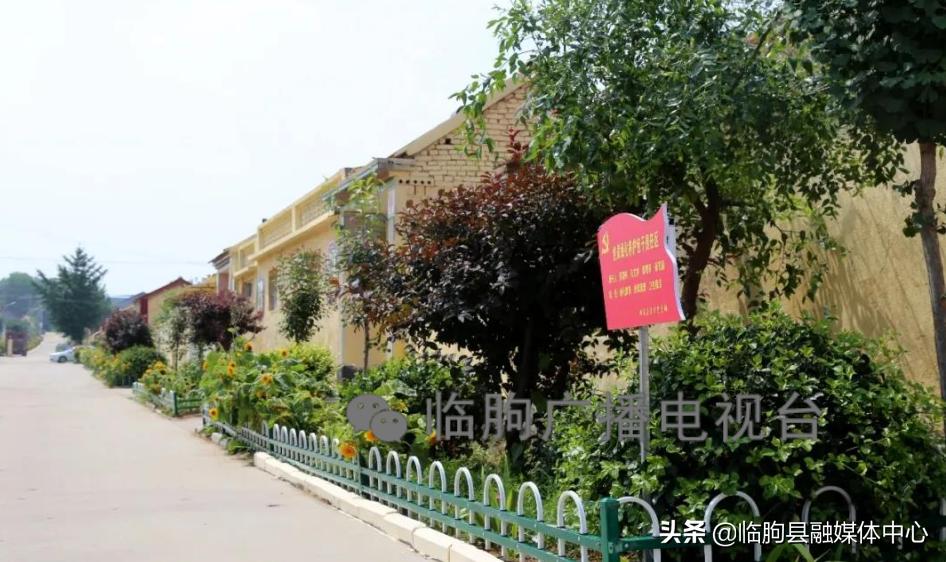 “绿满城乡·秀美临朐”系列报道（八）蒋峪镇篇：勇立潮头迎风起水墨蒋峪谱新篇