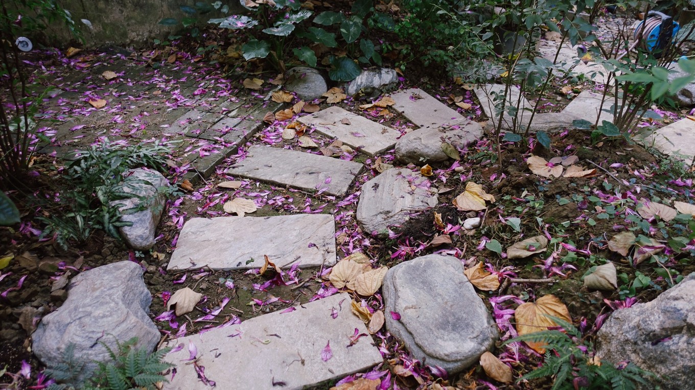 打卡三里屯最酷网红店,比较安静广州的打卡网红店