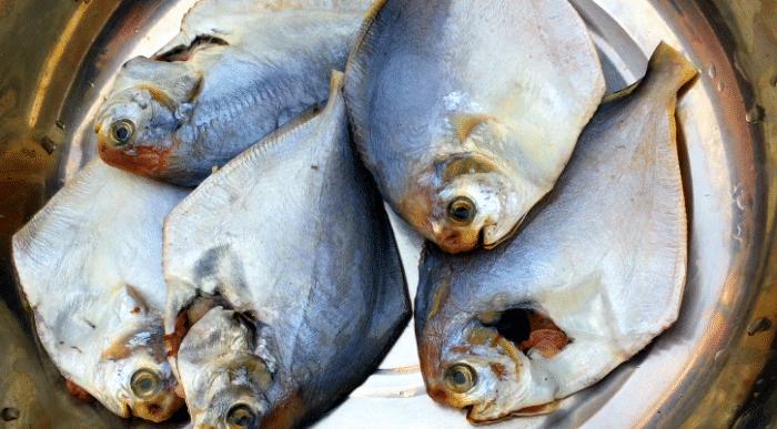 鲳鱼清蒸好吃还是红烧,鲳鱼清蒸好吃还是红烧好吃