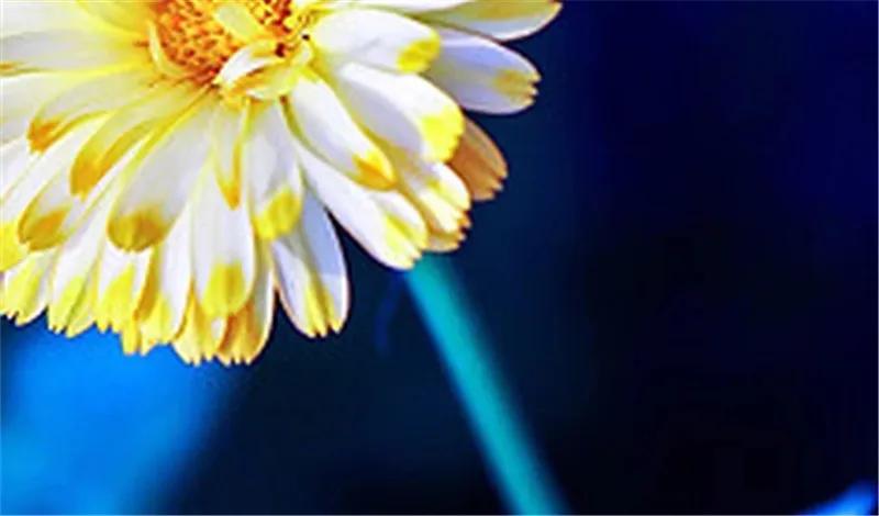 带孩子旅游不适合去寺庙,亲子游不建议带3岁宝宝去哪