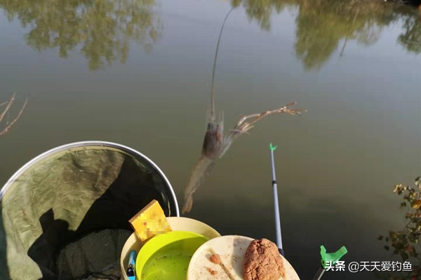 30块钱钓鱼一天,30块钱钓了3个小时的鱼
