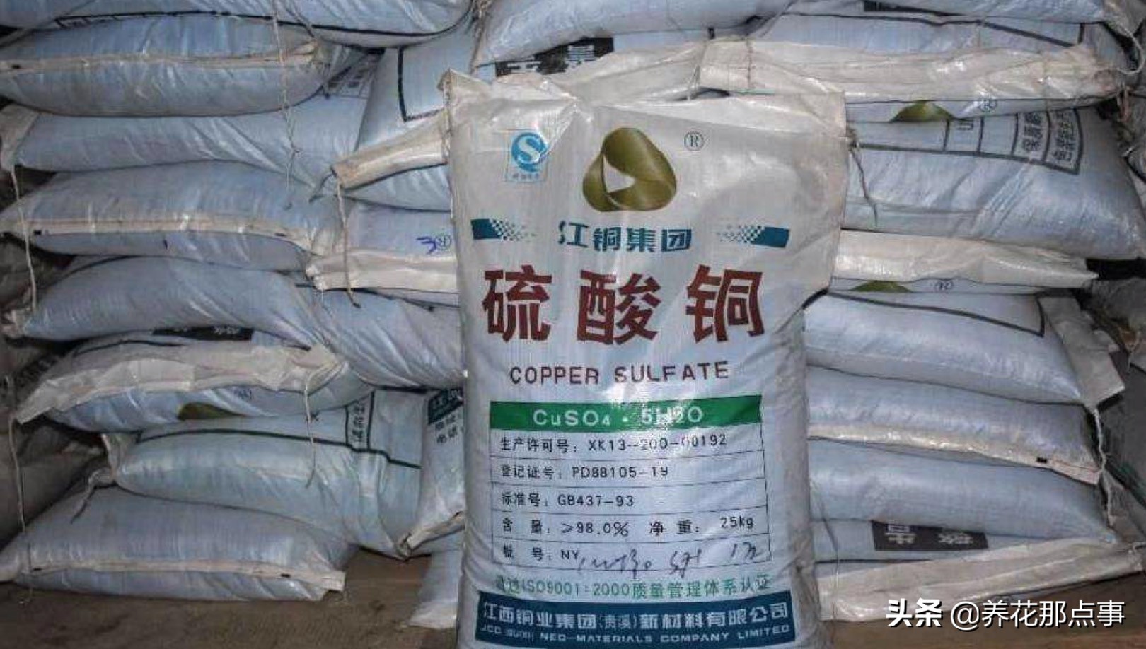 鱼缸里丢田螺,鱼缸里蚬子就剩壳了