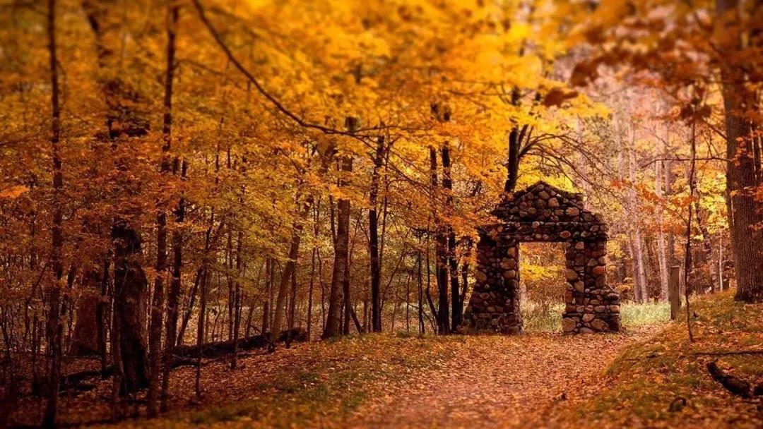 年度十佳微小说看完久久难以忘怀,年度十佳微小说的主题