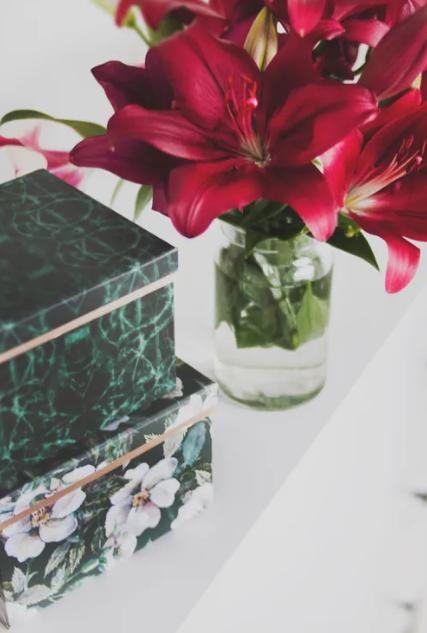 百合花开花后怎么处理视频,百合花盆栽开花后怎么修剪