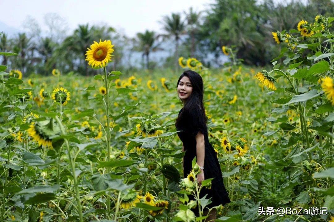 云南西双版纳到文山途经哪些景点,西双版纳适合6-12岁儿童的景点